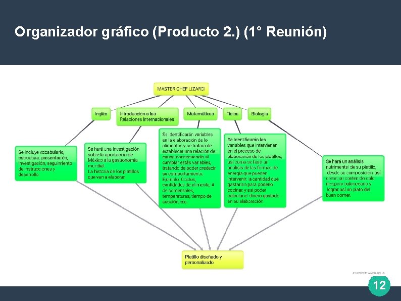 Organizador gráfico (Producto 2. ) (1° Reunión) 12 