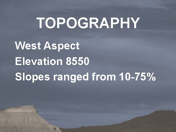 TOPOGRAPHY West Aspect Elevation 8550 Slopes ranged from 10 -75% 
