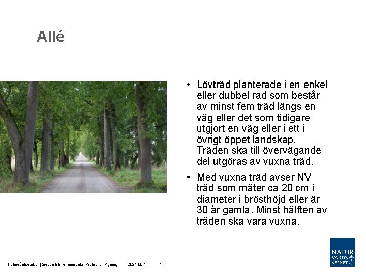 Allé • Lövträd planterade i en enkel eller dubbel rad som består av minst Allé • Lövträd planterade i en enkel eller dubbel rad som består av minst