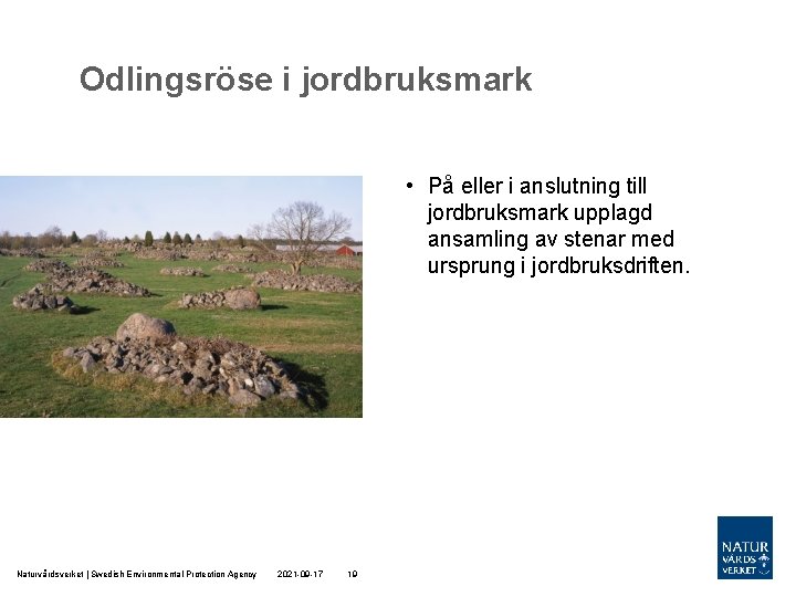 Odlingsröse i jordbruksmark • På eller i anslutning till jordbruksmark upplagd ansamling av stenar Odlingsröse i jordbruksmark • På eller i anslutning till jordbruksmark upplagd ansamling av stenar
