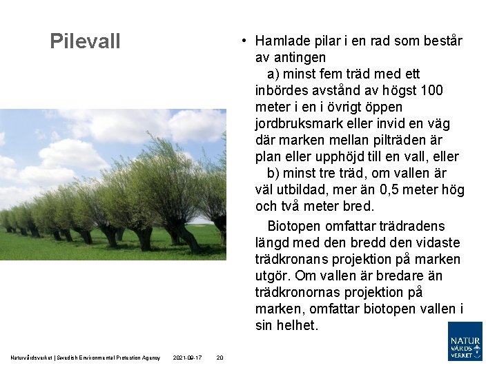 Pilevall Naturvårdsverket | Swedish Environmental Protection Agency • Hamlade pilar i en rad som