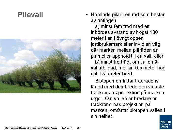 Pilevall Naturvårdsverket | Swedish Environmental Protection Agency • Hamlade pilar i en rad som Pilevall Naturvårdsverket | Swedish Environmental Protection Agency • Hamlade pilar i en rad som