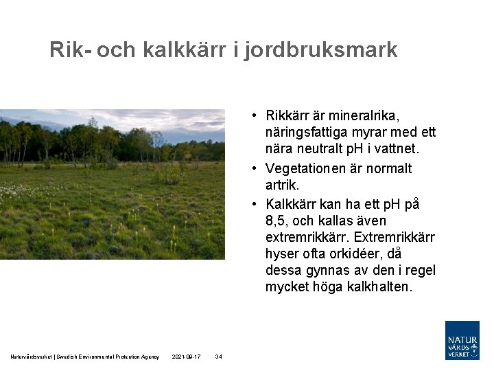 Rik- och kalkkärr i jordbruksmark • Rikkärr är mineralrika, näringsfattiga myrar med ett nära Rik- och kalkkärr i jordbruksmark • Rikkärr är mineralrika, näringsfattiga myrar med ett nära