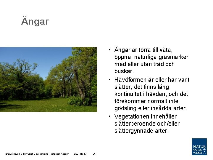Ängar • Ängar är torra till våta, öppna, naturliga gräsmarker med eller utan träd Ängar • Ängar är torra till våta, öppna, naturliga gräsmarker med eller utan träd