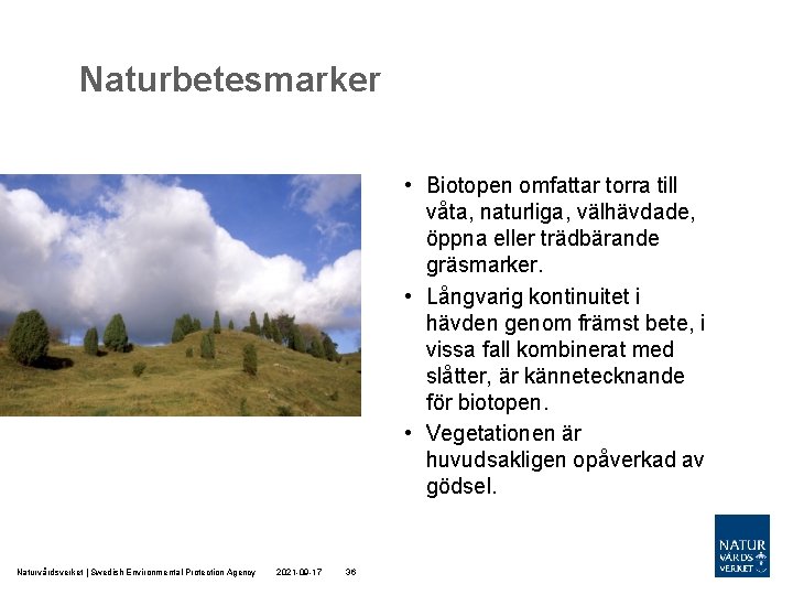 Naturbetesmarker • Biotopen omfattar torra till våta, naturliga, välhävdade, öppna eller trädbärande gräsmarker. •