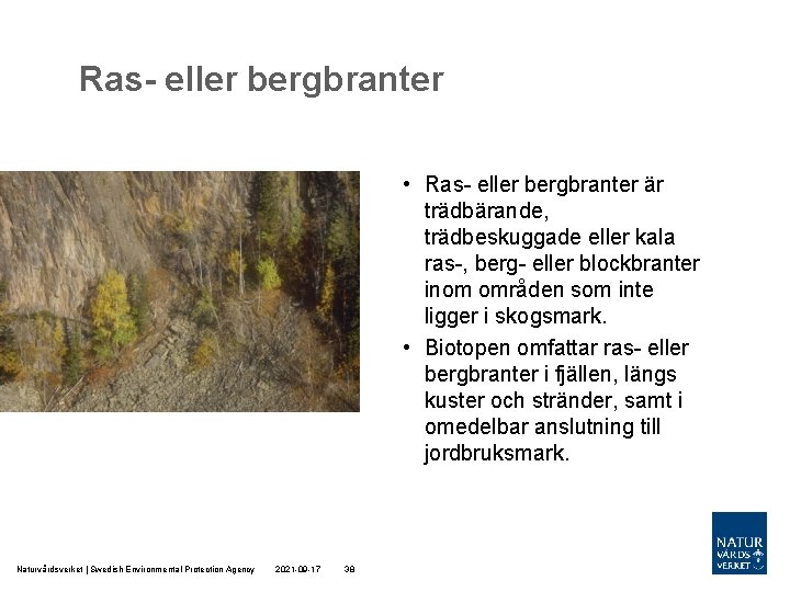 Ras- eller bergbranter • Ras- eller bergbranter är trädbärande, trädbeskuggade eller kala ras-, berg-