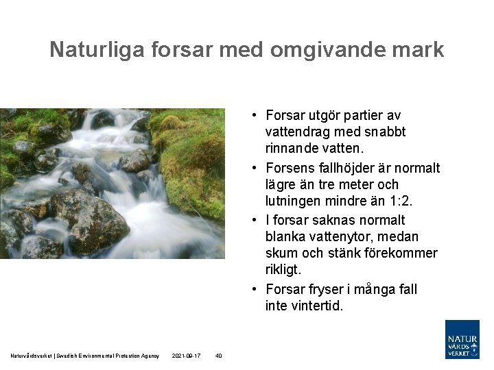 Naturliga forsar med omgivande mark • Forsar utgör partier av vattendrag med snabbt rinnande Naturliga forsar med omgivande mark • Forsar utgör partier av vattendrag med snabbt rinnande