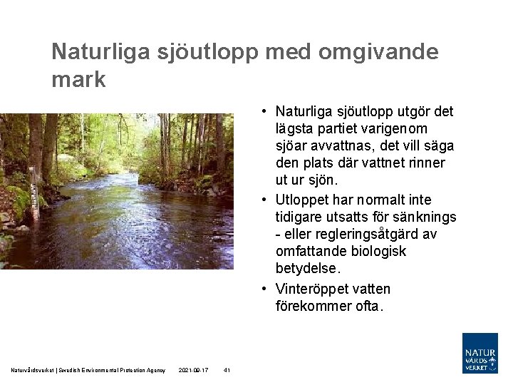 Naturliga sjöutlopp med omgivande mark • Naturliga sjöutlopp utgör det lägsta partiet varigenom sjöar