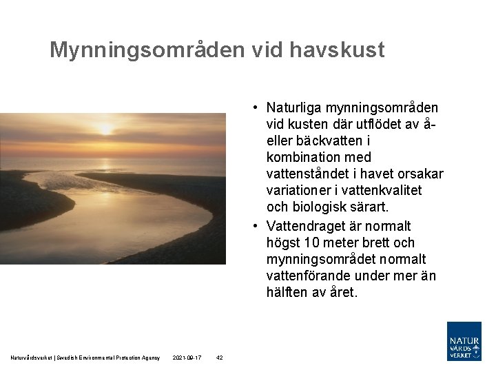 Mynningsområden vid havskust • Naturliga mynningsområden vid kusten där utflödet av åeller bäckvatten i