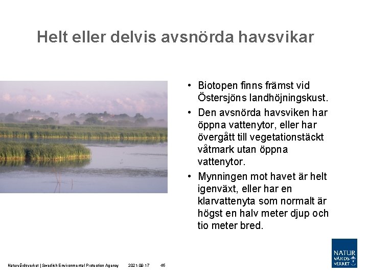 Helt eller delvis avsnörda havsvikar • Biotopen finns främst vid Östersjöns landhöjningskust. • Den Helt eller delvis avsnörda havsvikar • Biotopen finns främst vid Östersjöns landhöjningskust. • Den