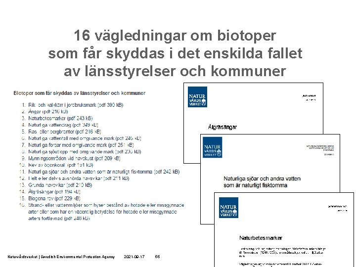 16 vägledningar om biotoper som får skyddas i det enskilda fallet av länsstyrelser och 16 vägledningar om biotoper som får skyddas i det enskilda fallet av länsstyrelser och