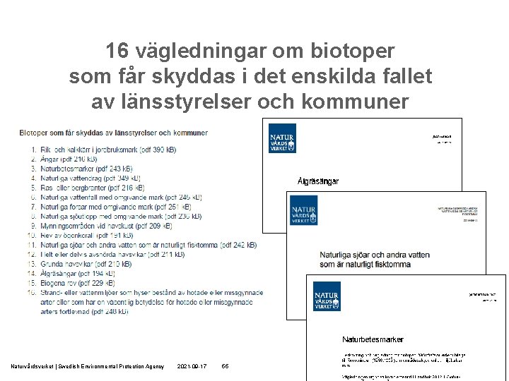 16 vägledningar om biotoper som får skyddas i det enskilda fallet av länsstyrelser och