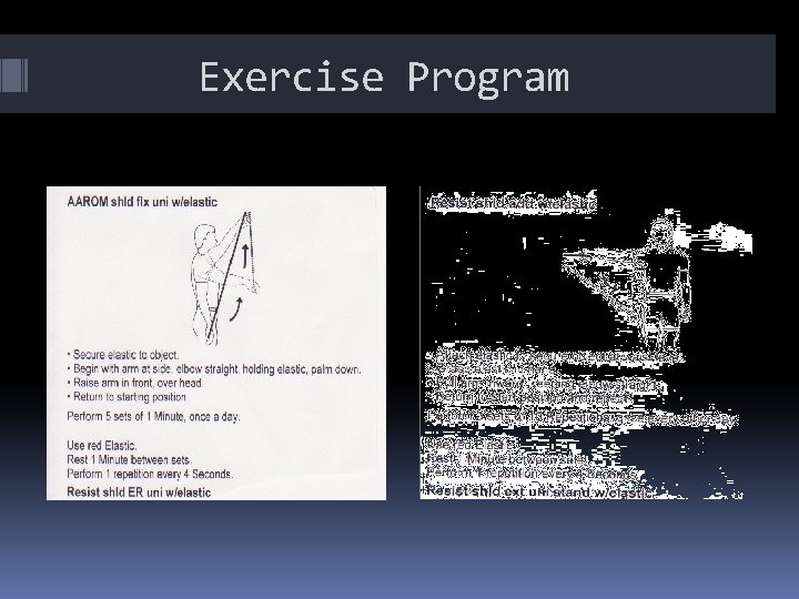 Exercise Program 