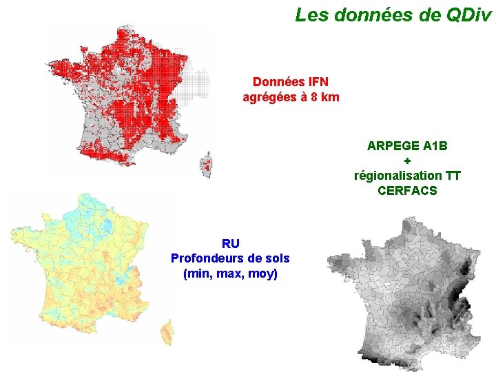 Les données de QDiv Données IFN agrégées à 8 km ARPEGE A 1 B