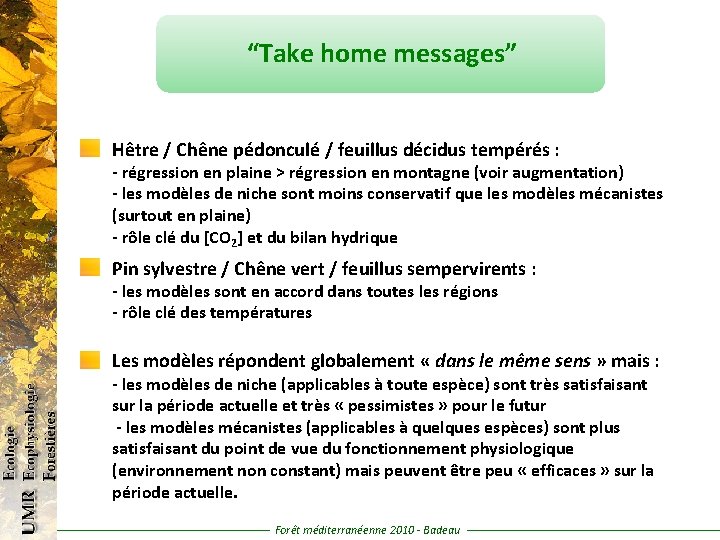 “Take home messages” Hêtre / Chêne pédonculé / feuillus décidus tempérés : - régression