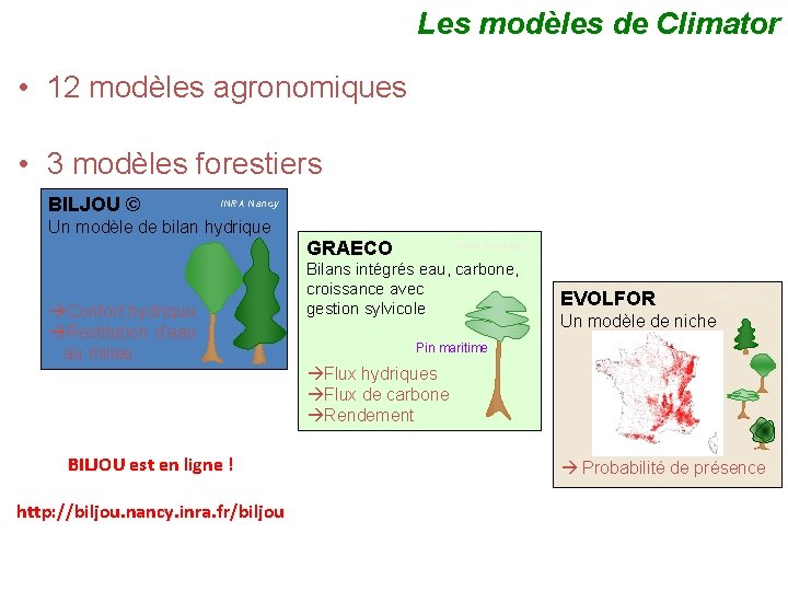 Les modèles de Climator • 12 modèles agronomiques • 3 modèles forestiers BILJOU ©