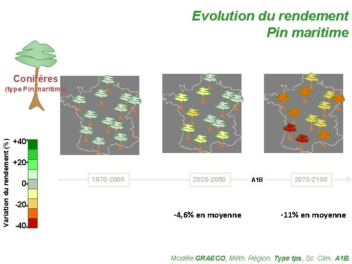 Evolution du rendement Pin maritime Conifères Variation du rendement (%) (type Pin maritime) +40