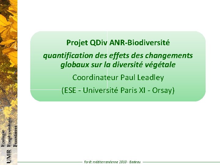 Projet QDiv ANR-Biodiversité quantification des effets des changements globaux sur la diversité végétale Coordinateur