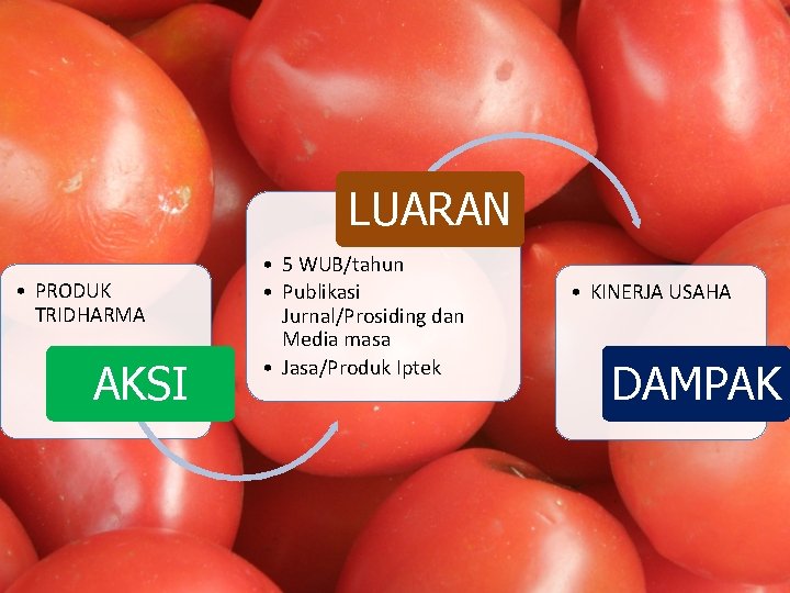 LUARAN • PRODUK TRIDHARMA AKSI • 5 WUB/tahun • Publikasi Jurnal/Prosiding dan Media masa