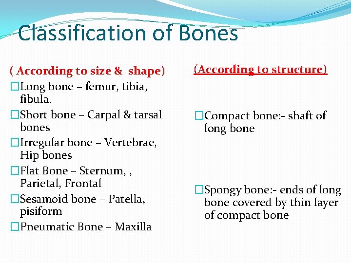 Classification of Bones ( According to size & shape) �Long bone – femur, tibia,