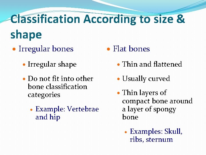 Classification According to size & shape · Irregular bones · Flat bones · Irregular