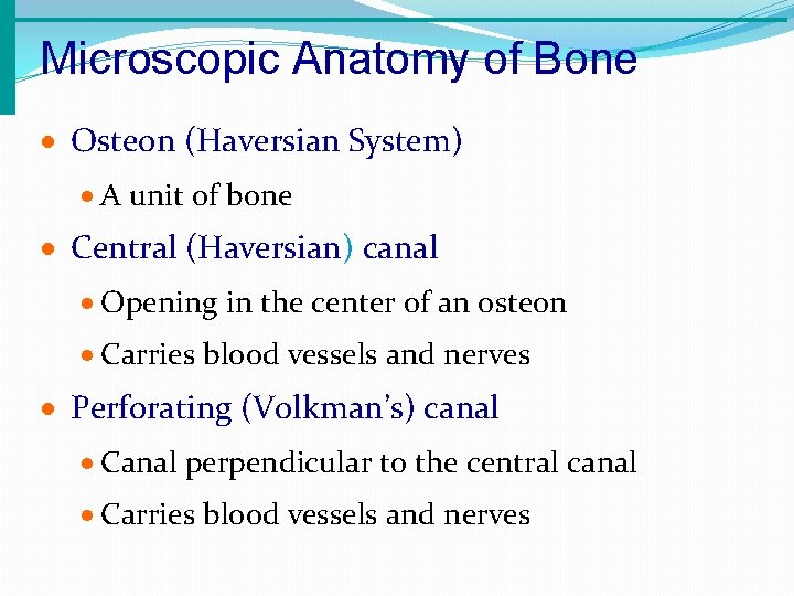 Microscopic Anatomy of Bone · Osteon (Haversian System) · A unit of bone ·