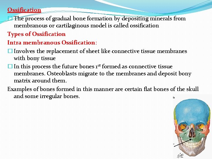 Ossification � The process of gradual bone formation by depositing minerals from membranous or