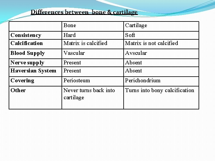 Differences between bone & cartilage Bone Cartilage Consistency Calcification Hard Matrix is calcified Soft