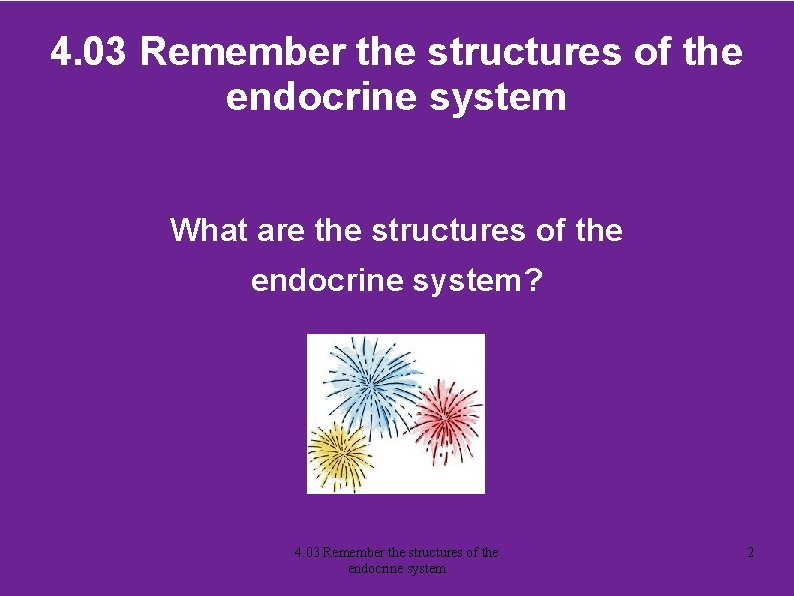 4. 03 Remember the structures of the endocrine system What are the structures of
