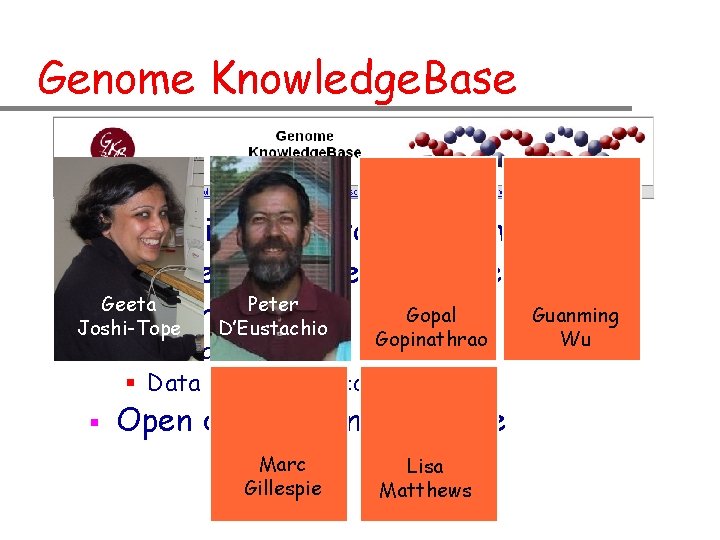 Genome Knowledge. Base Biological pathways in human § Curated by experts in the field