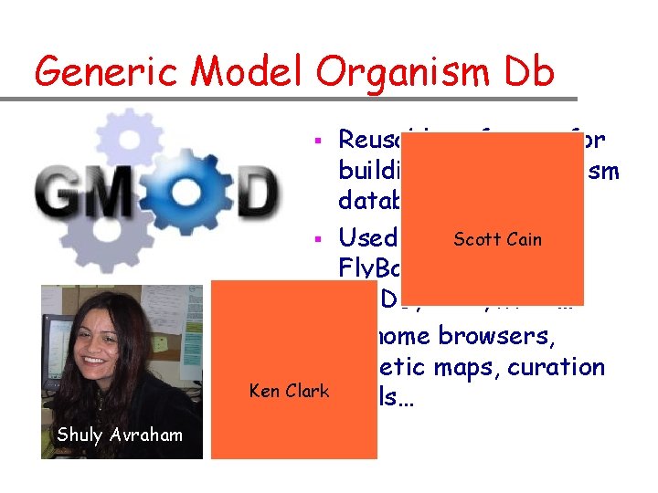 Generic Model Organism Db § § § Ken Clark Shuly Avraham Reusable software for