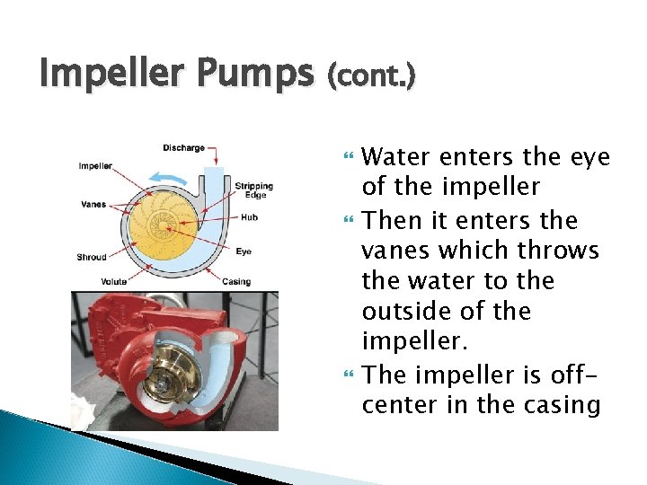Impeller Pumps (cont. ) Water enters the eye of the impeller Then it enters