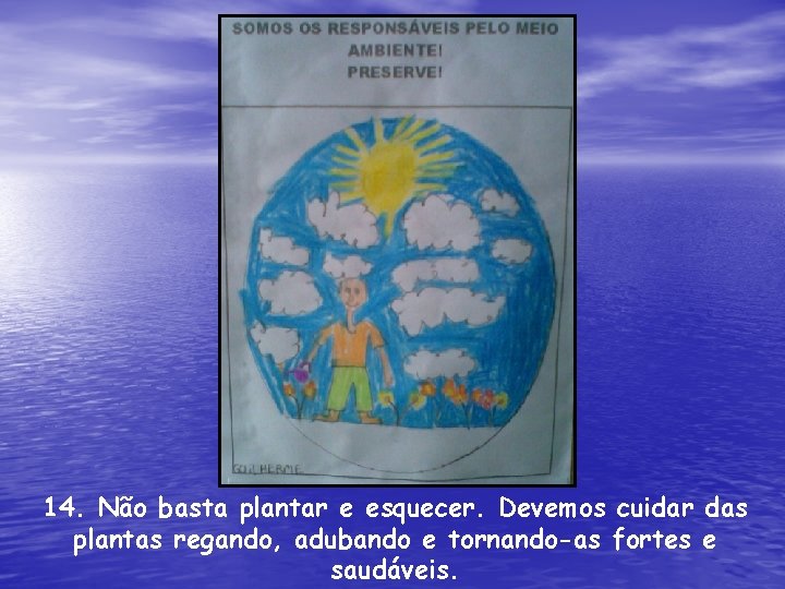 14. Não basta plantar e esquecer. Devemos cuidar das plantas regando, adubando e tornando-as