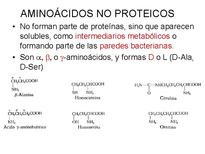 AMINOÁCIDOS NO PROTEICOS • No forman parte de proteínas, sino que aparecen solubles, como