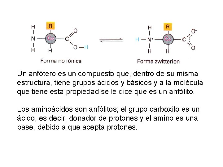Un anfótero es un compuesto que, dentro de su misma estructura, tiene grupos ácidos