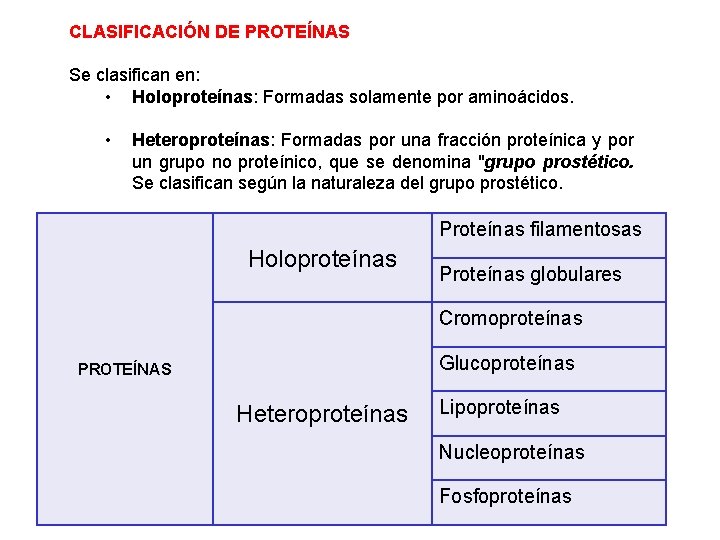 CLASIFICACIÓN DE PROTEÍNAS Se clasifican en: • Holoproteínas: Formadas solamente por aminoácidos. • Heteroproteínas: