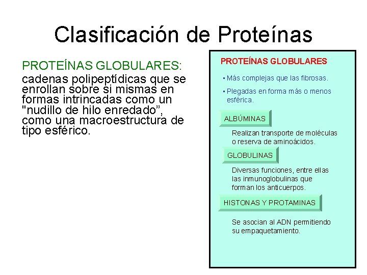 Clasificación de Proteínas PROTEÍNAS GLOBULARES: cadenas polipeptídicas que se enrollan sobre si mismas en