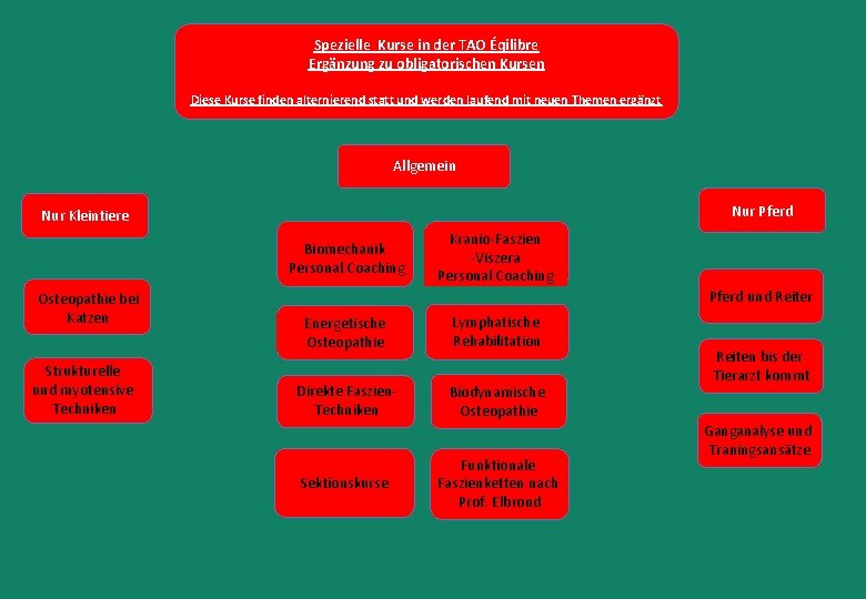 Spezielle Kurse in der TAO Éqilibre Ergänzung zu obligatorischen Kursen Diese Kurse finden alternierend