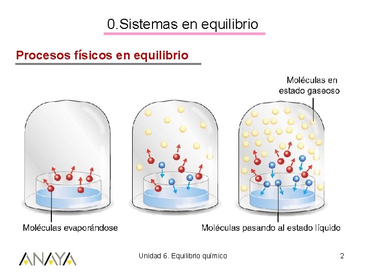 0. Sistemas en equilibrio Procesos físicos en equilibrio Unidad 6. Equilibrio químico 2 