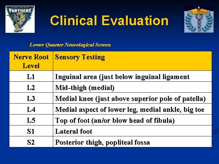 Clinical Evaluation Lower Quarter Neurological Screen Nerve Root Level L 1 L 2 L