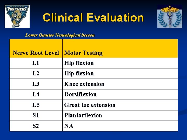 Clinical Evaluation Lower Quarter Neurological Screen Nerve Root Level Motor Testing L 1 Hip