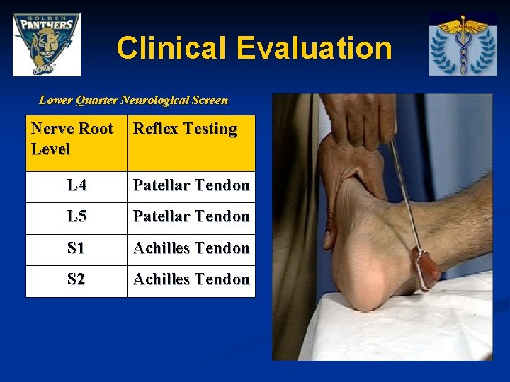 Clinical Evaluation Lower Quarter Neurological Screen Nerve Root Level Reflex Testing L 4 Patellar