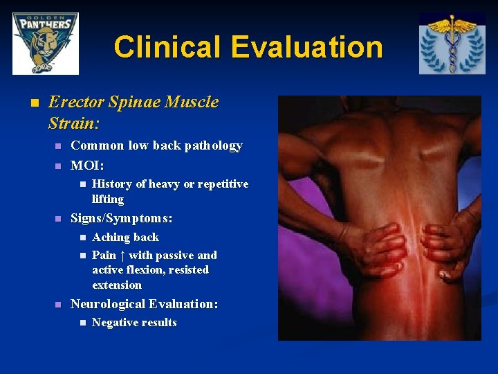 Clinical Evaluation n Erector Spinae Muscle Strain: n n Common low back pathology MOI: