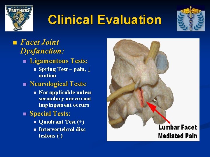 Clinical Evaluation n Facet Joint Dysfunction: n Ligamentous Tests: n n Neurological Tests: n
