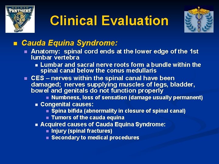 Clinical Evaluation n Cauda Equina Syndrome: n n Anatomy: spinal cord ends at the