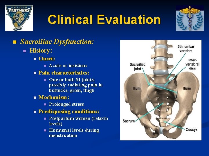 Clinical Evaluation n Sacroiliac Dysfunction: n History: n Onset: n n Pain characteristics: n