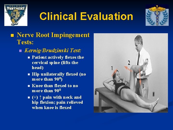 Clinical Evaluation n Nerve Root Impingement Tests: n Kernig/Brudzinski Test: n n Patient actively