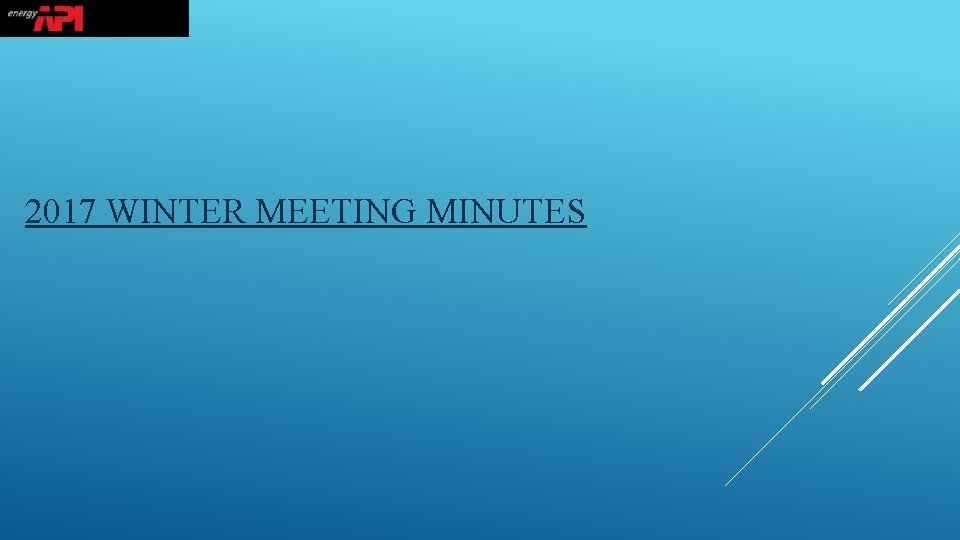 2017 WINTER MEETING MINUTES 