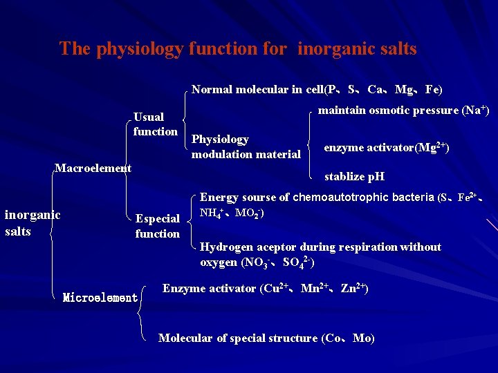 The physiology function for inorganic salts Normal molecular in cell(P、S、Ca、Mg、Fe) Usual function maintain osmotic