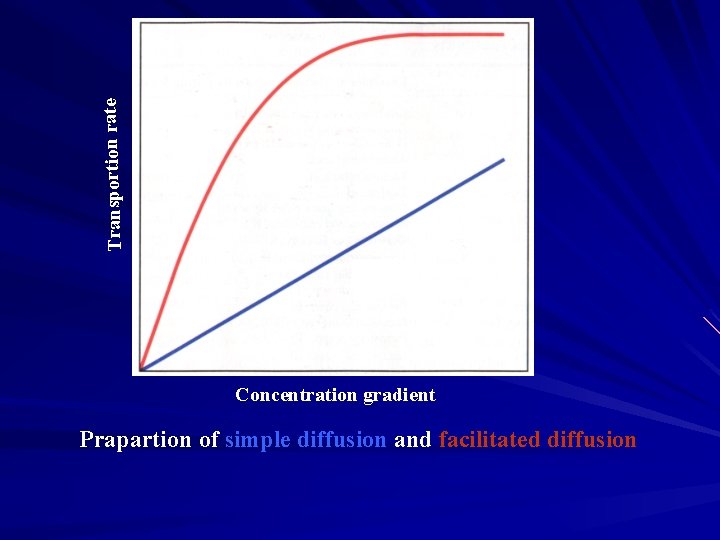 Transportion rate 促进扩散 单纯扩散 Concentration gradient Prapartion of simple diffusion and facilitated diffusion 